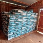 Mercado de olericultura aquecido aumenta demanda por tratores e soluções mecanizadas na agricultura familiar