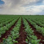 Unidade de Saúde do Poncho Verde reforça atendimento ágil e cuidado com a população