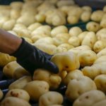 PM prende homem por tráfico de drogas e apreende tabletes e porções de maconha