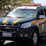 Trigo: preços caem em 2025 mesmo com menor área cultivada, aponta Cepea