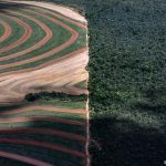 Auxílio bilionário dos EUA ao agro pressiona competitividade do produtor brasileiro