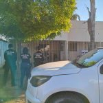 Produção recorde e importações elevadas derrubam preço do leite em 2025, aponta Cepea