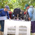 Rotam prende duas pessoas por tráfico de drogas em Várzea Grande