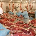 Regras ambientais entram de vez na conta do agronegócio em 2026