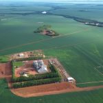 Reforma Tributária inicia transição e traz novos desafios ao mercado do arroz