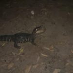 Polícia Militar prende homem suspeito de matar o próprio filho de 2 anos em Sorriso