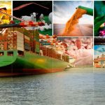 Estiagem e tensões comerciais reduzem exportações do agronegócio gaúcho em 4,1% em 2025