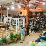 Exportações brasileiras de grãos devem bater novo recorde em 2026 com foco em soja e milho