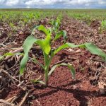 Acidente em Rondonópolis envolve três veículos no cruzamento da Avenida Cuiabá com a Rua José Barriga