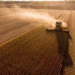 Passaportes de Outono do Cavalo Crioulo percorrerão oito estados brasileiros em 2026