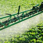 Miolo inaugura complexo enoturístico e revoluciona experiências no Vale dos Vinhedos