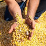 Concessionária Morro da Mesa reforça a importância da saúde mental durante a campanha Janeiro Branco