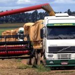 Carreta bitrem tomba na MT-130 em Primavera do Leste e parte da carga de algodão pega fogo