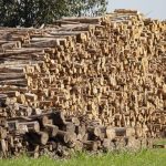 Reydner Souza, ex-presidente do União, assume a Secretaria Adjunta de Esportes