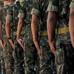 Produtores de soja em MT têm prazo até 15 de fevereiro para cadastro obrigatório no Indea