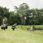 Produção de biodiesel no Brasil atinge recorde histórico em 2025 e setor prevê novo salto em 2026