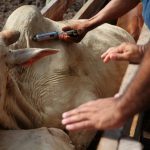 Programa Desenvolve MT amplia acesso ao crédito e conta com apoio da SEDEC em Primavera do Leste