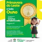 Polícia Civil e Gaeco deflagram operação para apurar entrada de celulares em presídio em Rondonópolis