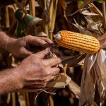 Prefeito Sérgio Machnic vai às ruas do Eldorado, conversa com moradores e confirma licitações para recapeamento de R$ 14 milhões