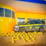 PRF intercepta carga de skunk e apreende mais de 100 kg de droga em Primavera do Leste