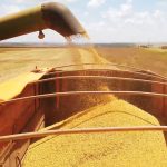 Parque Universitário vai receber segunda edição 2026 do Toda Praça é Arte no próximo sábado (28) em Rondonópolis