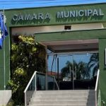 Operação Madeira Nativa V: PRF registra 27 ocorrências de crimes ambientais em 10 dias em Rondonópolis