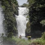 Comunicação de venda do veículo pode ser feita de forma online em Mato Grosso