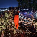 Prefeito Sérgio Machnic participa da premiação de 88 alunos destaque da rede municipal de Primavera do Leste