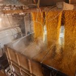 Corpo de Bombeiros atendeu uma média de 188 ocorrências por dia em 2025