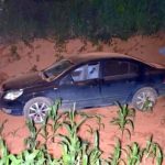 PRF apreende 16,4 kg de skunk em ônibus na BR-070