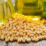 Motorista morre após colisão entre carreta boiadeira e carro na BR-070