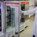 Suspeito de estelionato é detido após tentativa de fuga em supermercado