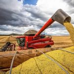 Suspeitos de integrar organização criminosa são detidos com dinheiro do tráfico em MT