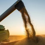 Força-tarefa desarticula esquema criminoso de fraudes fiscais no setor de grãos em Mato Grosso