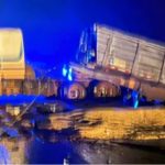 Larva-minadora acende alerta em lavouras de soja de Mato Grosso