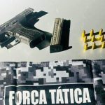 Defesa Civil Estadual orienta população sobre cuidados com árvores no período de chuvas intensas