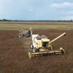 Operação Via Paralela mira esquema de celulares com participação de policiais penais em presídio de MT