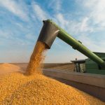 Rondonópolis inicia fiscalização eletrônica com multas a partir desta segunda-feira (23)