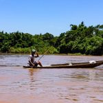 Chuva forte provoca quedas de árvores e danos em estruturas nesta terça-feira (17) em Primavera do Leste