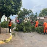 MT projeta mais de R$ 478 milhões em investimentos para fortalecer permanência e aprendizagem em 2026