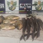 Polícia Civil mira advogados suspeitos de vender influência no Judiciário em MT