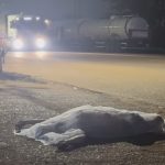 Rondonópolis reúne milhares de pessoas em grande celebração de fé com o cantor Thalles Roberto