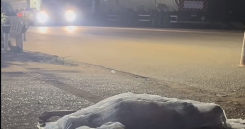 Foto: SBT/Rondonópolis