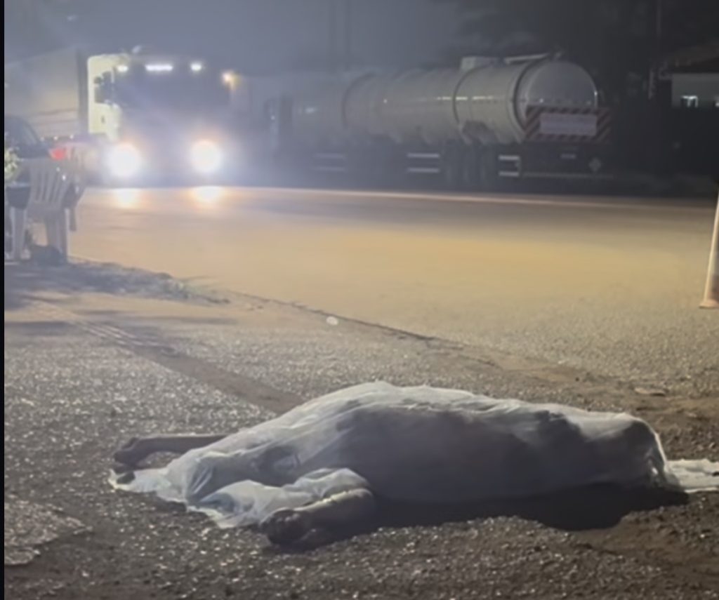 Foto: SBT/Rondonópolis