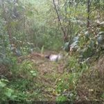 Em Nova Etapa na ALMT, Dilmar Dal Bosco Assume Comando da CCJR