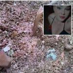 Medeiros pressiona, expõe fragilidade do PL e coloca Ananias Filho contra a parede em Mato Grosso