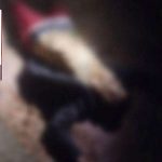 Tragédia na MT-225: dois adolescentes morrem em capotamento de caminhonete em Feliz Natal