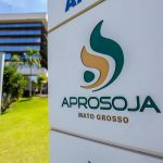 Chile aumenta compras em 52% e se consolida como um dos maiores mercados da carne de MT