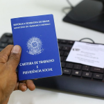 Em Primavera do Leste, projeto articulado por Dona Maria garante casinhas e comedouros para pets sem custo ao município