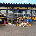 Primavera do Leste lidera geração proporcional de empregos na região e supera Rondonópolis e Campo Verde em ritmo de crescimento